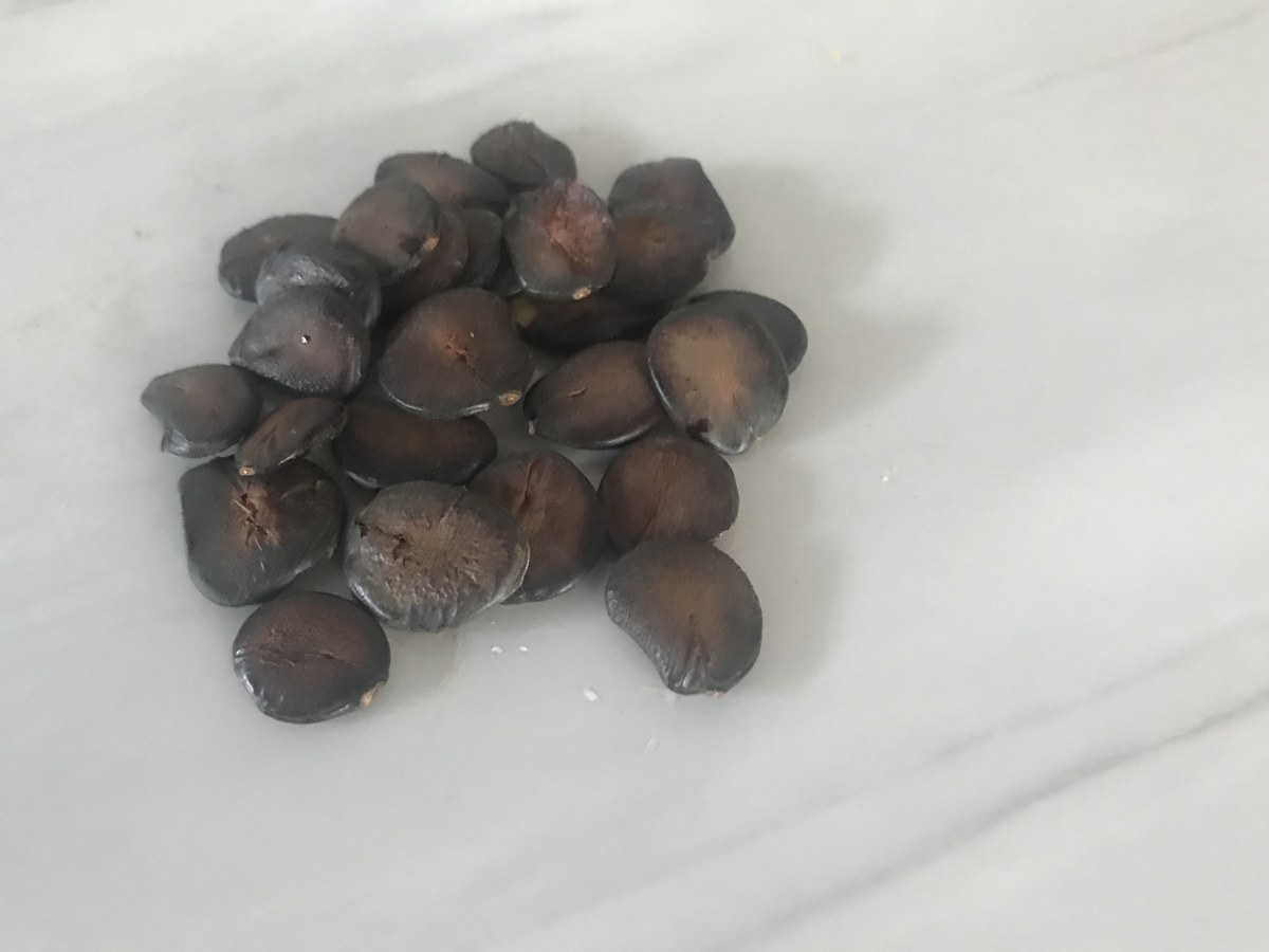 Button Spice shown loose in a company photograph