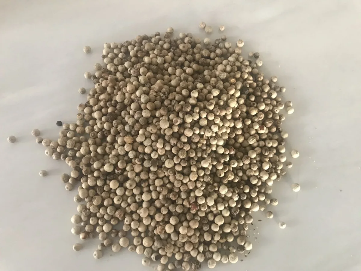 Penja Pepper shown loose in a company photograph