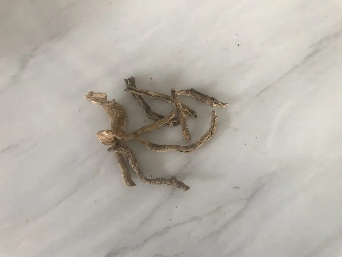 Root spice shown loose in a company photograph