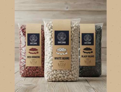 Ehsey_content-slider-2-3